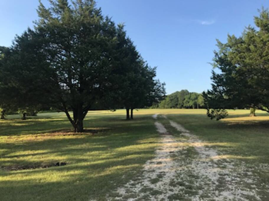 Trail