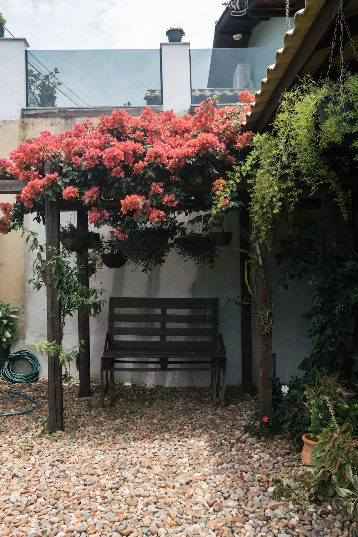 A wooden bench is positioned beneath a vibrant bougainvillea canopy, creating a serene outdoor seating area. Lush greenery cascades from above, while the ground is covered with smooth pebbles, enhancing the tranquil environment of the space.