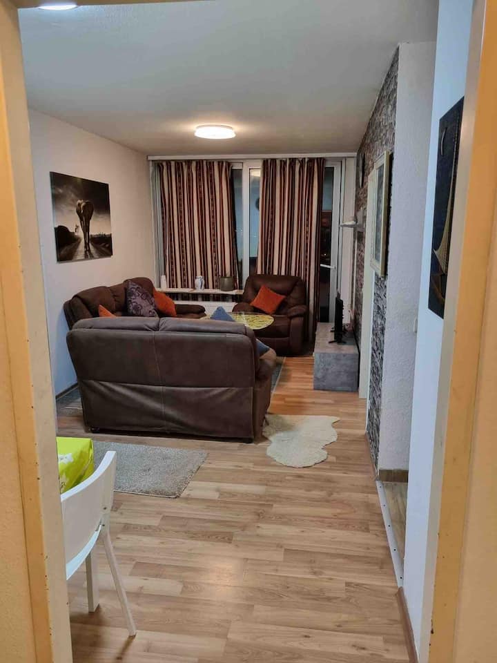 Apartment in the heart of Ludwigshafens