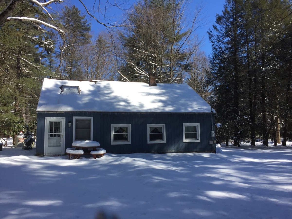 A charming blue cabin is surrounded by a blanket of fresh snow, showcasing a welcoming front porch and two large windows. The roof is dusted with snow, and a picnic table is visible in the foreground, highlighting the peaceful winter landscape.