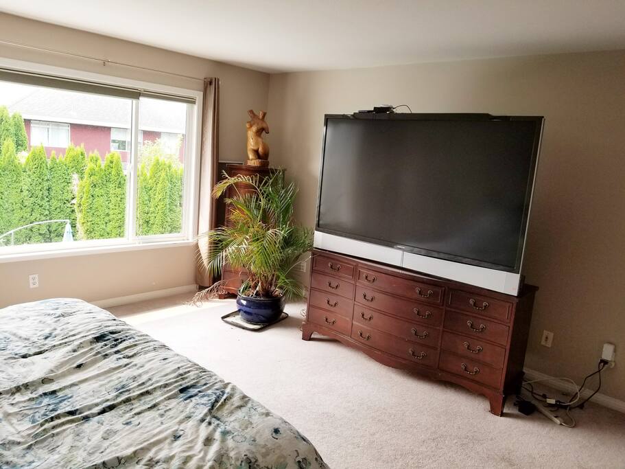 Master bedroom with ensuite walkin closet and big screen TV
Overlooking park like back yard.