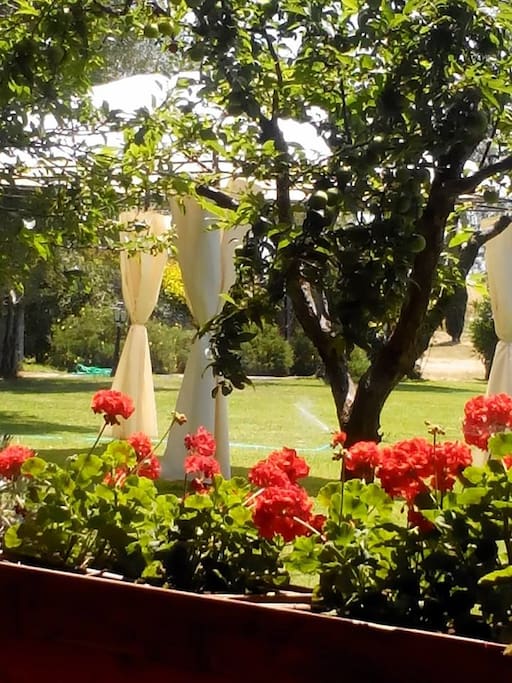 giardino