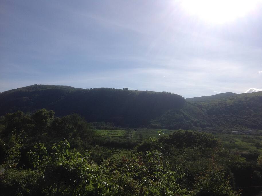 Valley views from the garden
