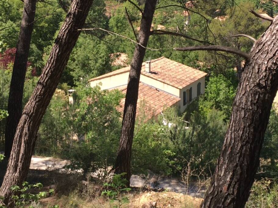 Vue forêt