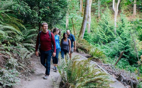 Seattle bölgesinde yapılacak benzersiz şeyler