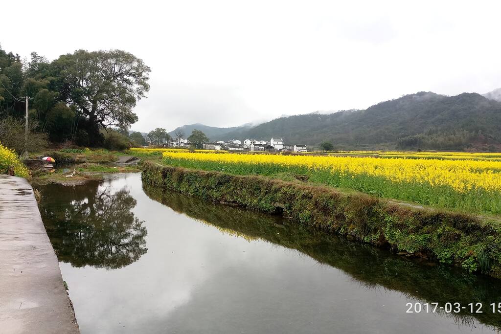 周边景色