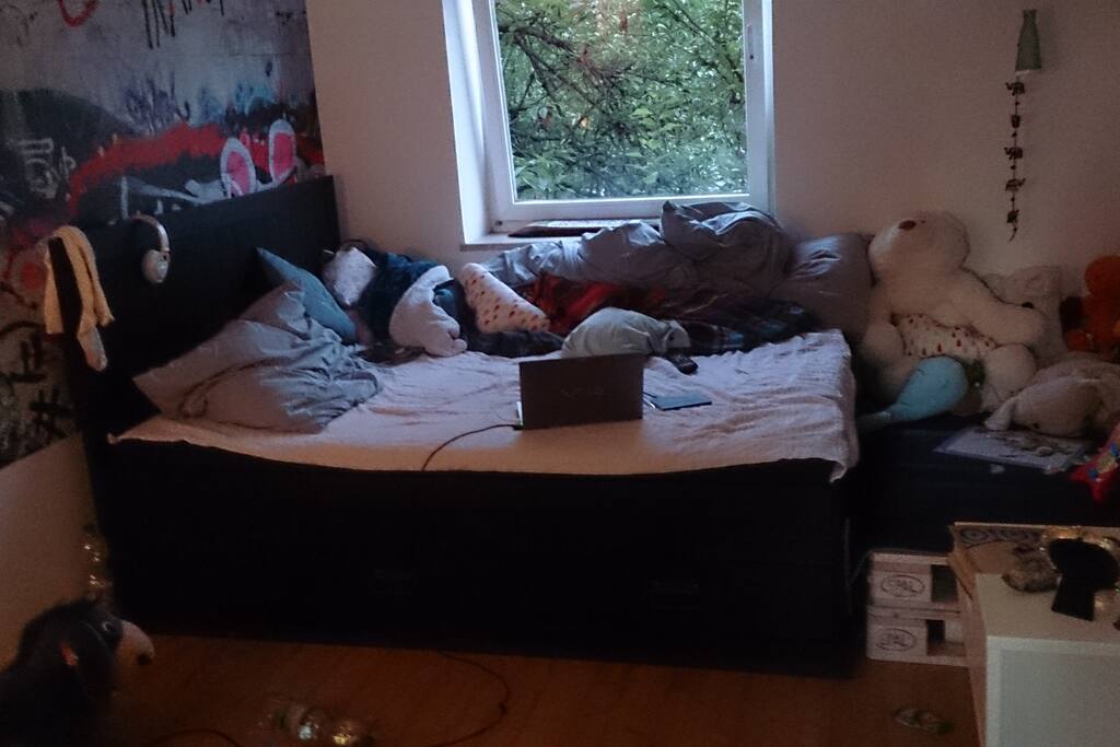 Bett