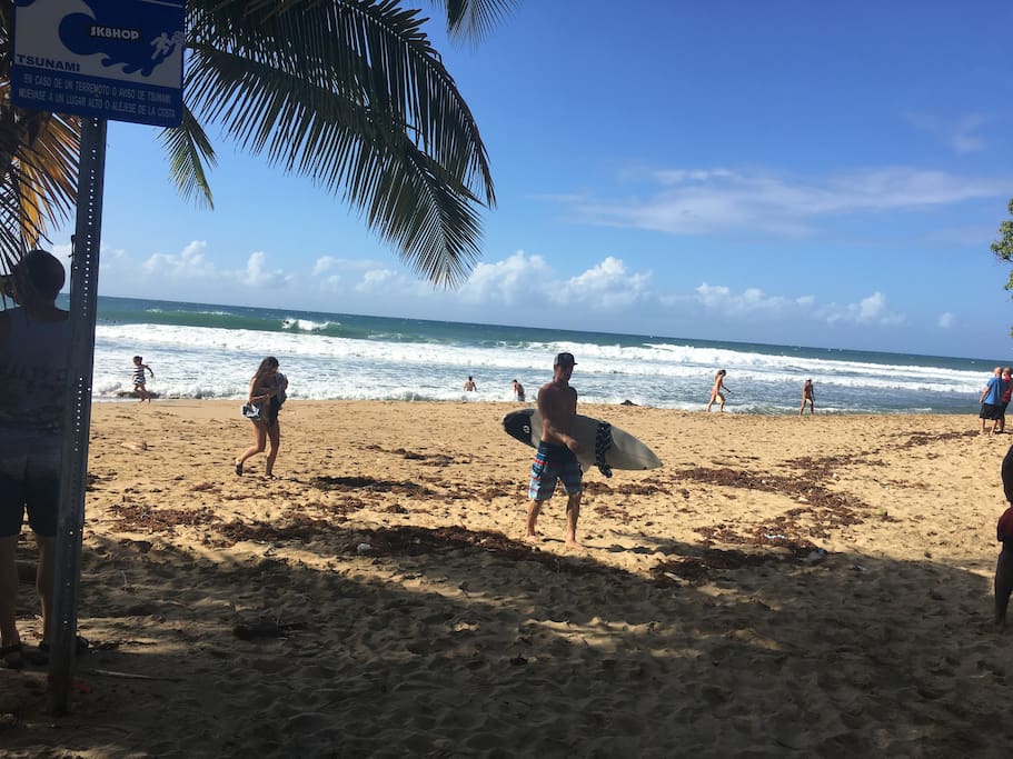 Summer fun, beach, surf and much more