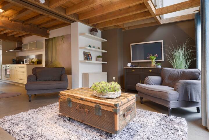 Grand Loft in the heart of historic Antwerp gallery image 3