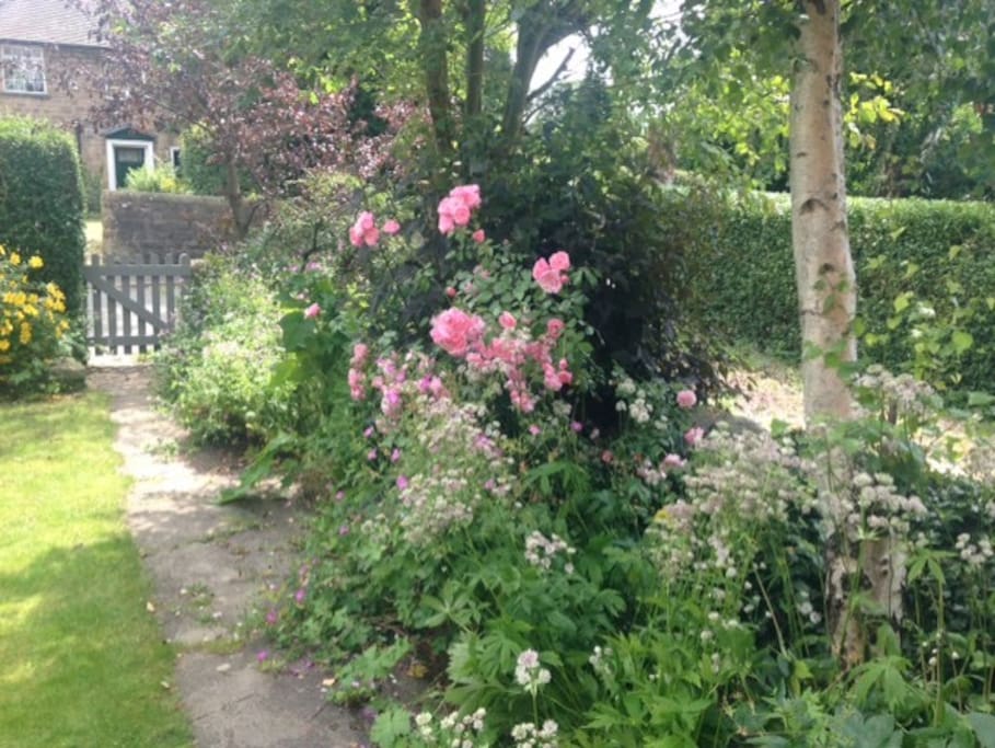 Very much a country cottage garden.