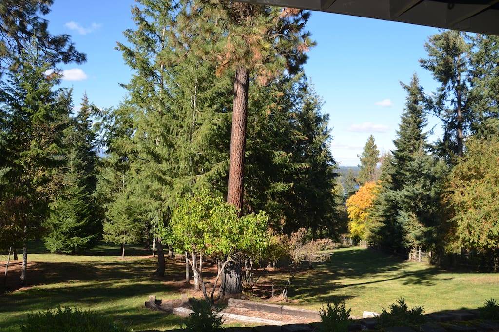 Beautiful views and sitting places outside your windows.