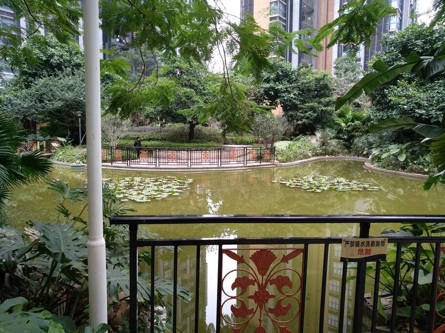 小区水池