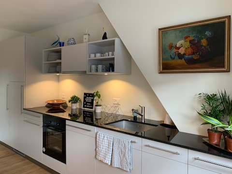 Successful Airbnb property: Spacious bright loft apartment with roof terrace in Nordwestschweiz