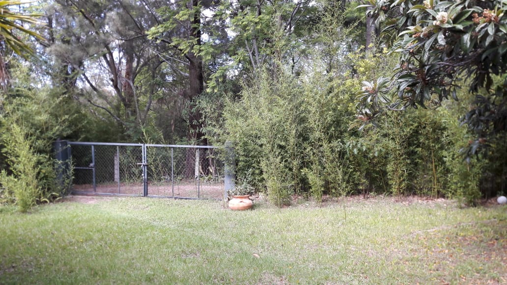 A fenced garden area is showcased, surrounded by tall greenery and diverse plants. A grassy space extends in front, leading towards a gentle slope. A terracotta planter is placed on the ground, adding a natural touch to the serene outdoor environment.