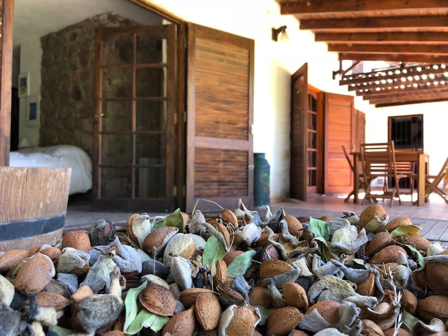 Vista de galería e ingreso a la habitación por puerta ventana