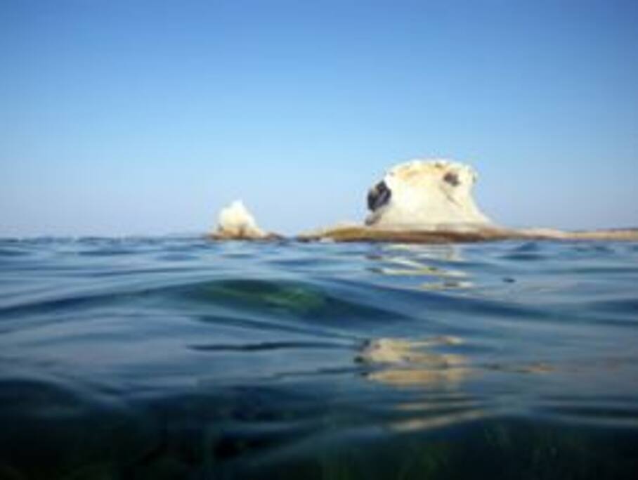 κακούδια