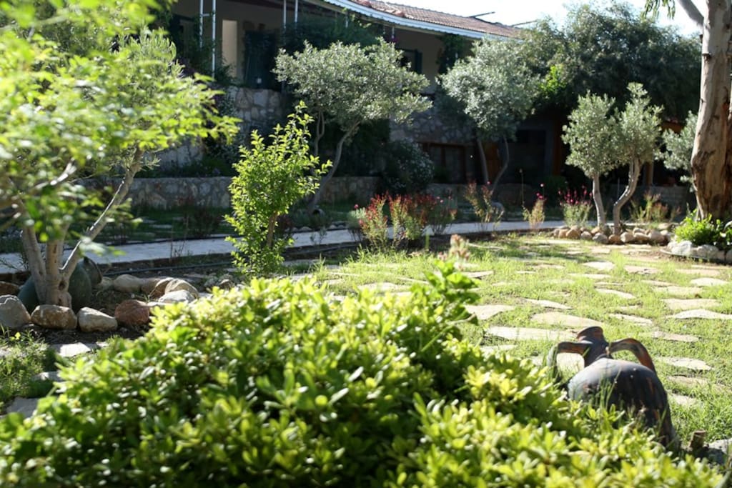 Koop' Suites Bahçe