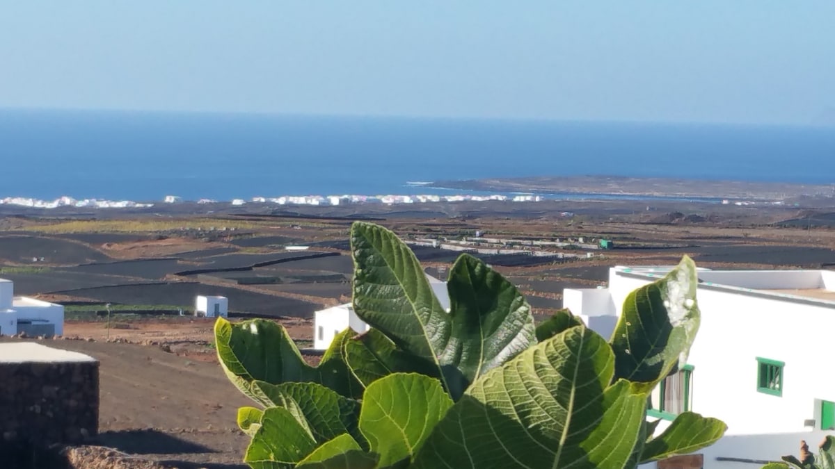A view of the ocean stretches into the distance, framed by lush green foliage in the foreground. The landscape below features gently rolling hills and patches of cultivated land, while the horizon reveals a clear sky meeting the sea.