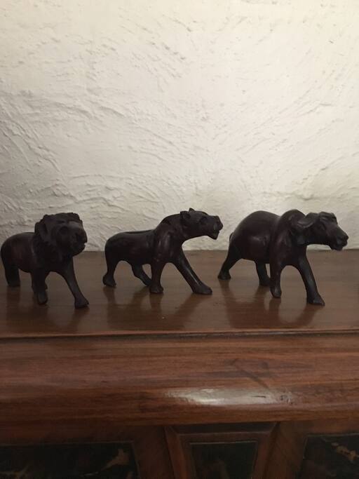 Spend a night in the safari room.