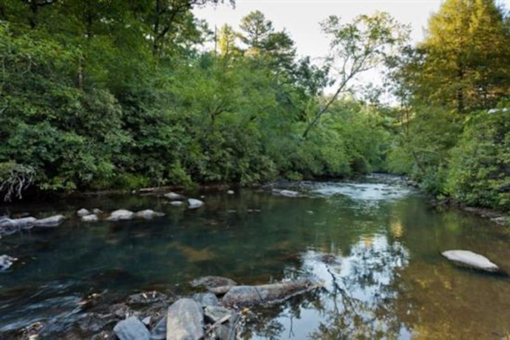 Gorgeous shot of the Ellijay River