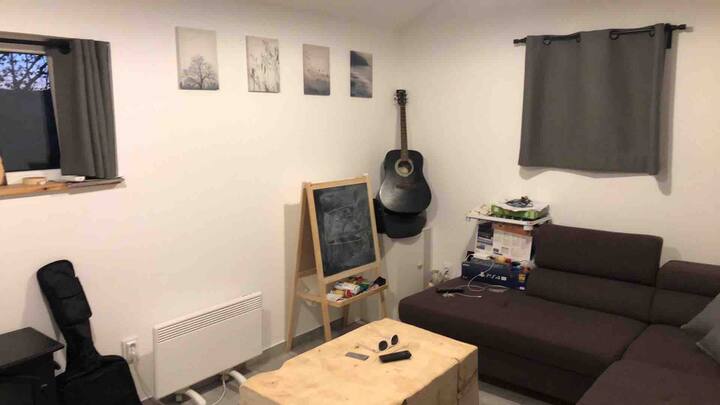 غرفة المعيشة