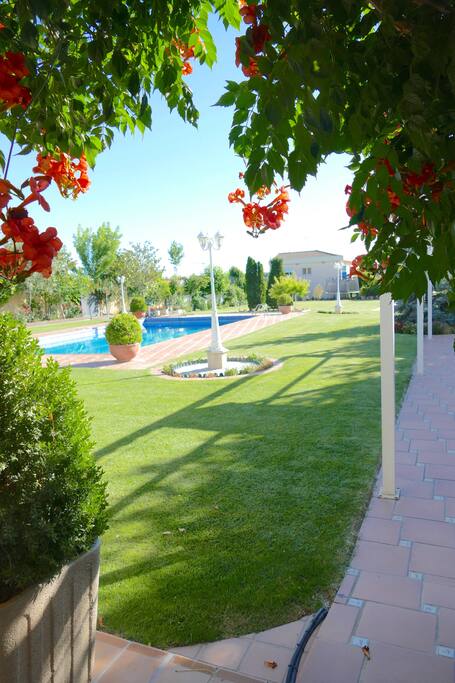 Pool view /Vista piscina desde terraza