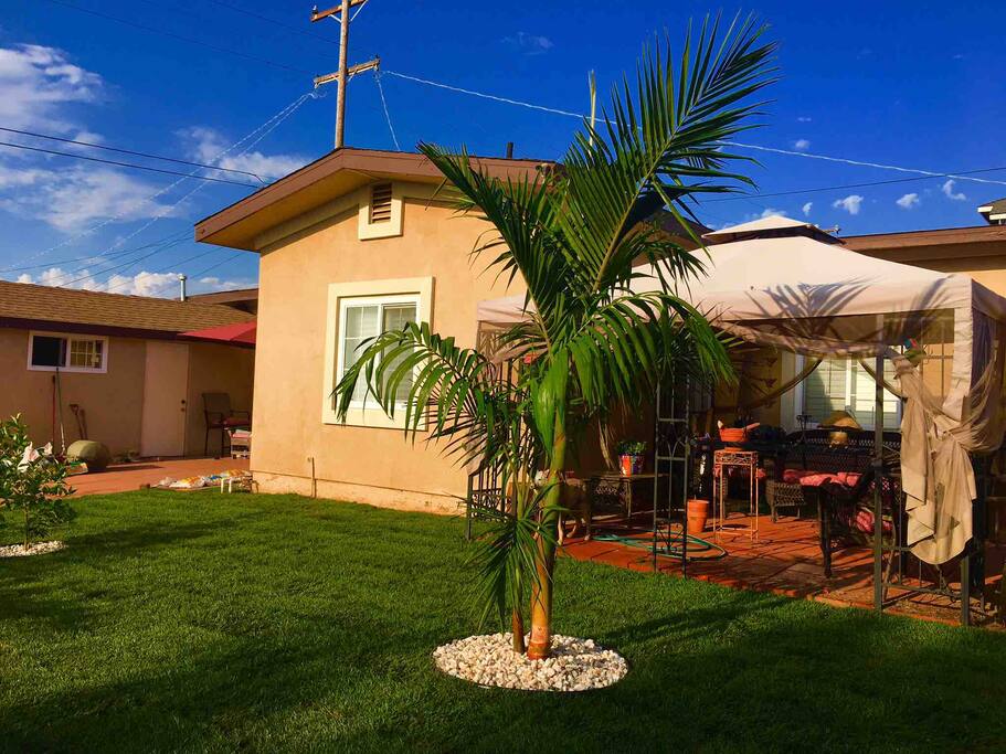 Front Yard