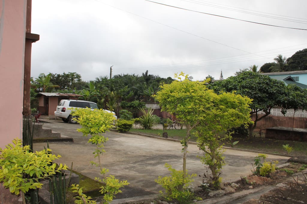 Front drive and garden