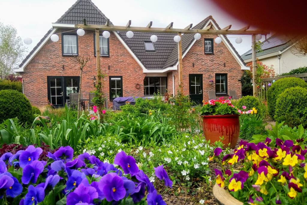 Achtertuin