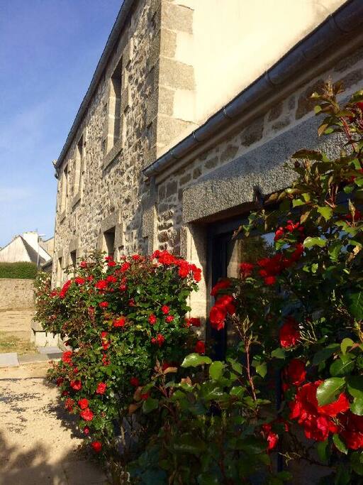 la façade et ses rosiers