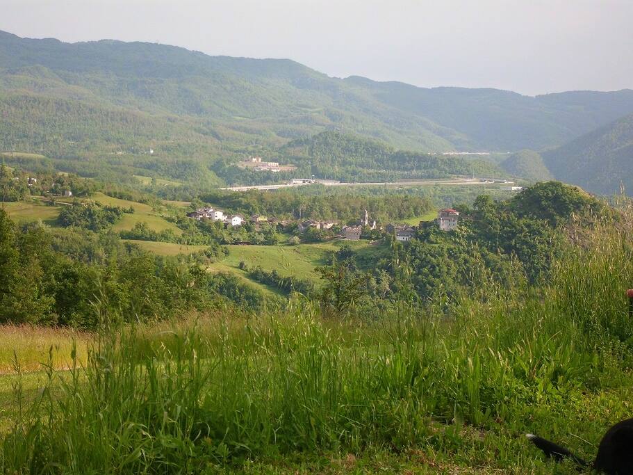 la vista