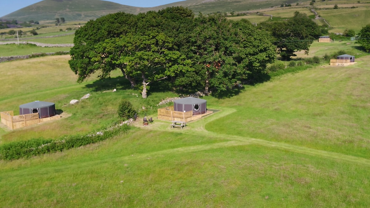 Three well-spaced Nomadic Yurts are shown within a lush green field. Surrounding hills gently rise in the background, while a cluster of trees provides shade. A picnic area is visible near one yurt, suggesting a serene outdoor setting.