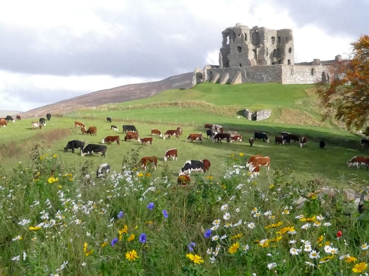 The Castle Byre