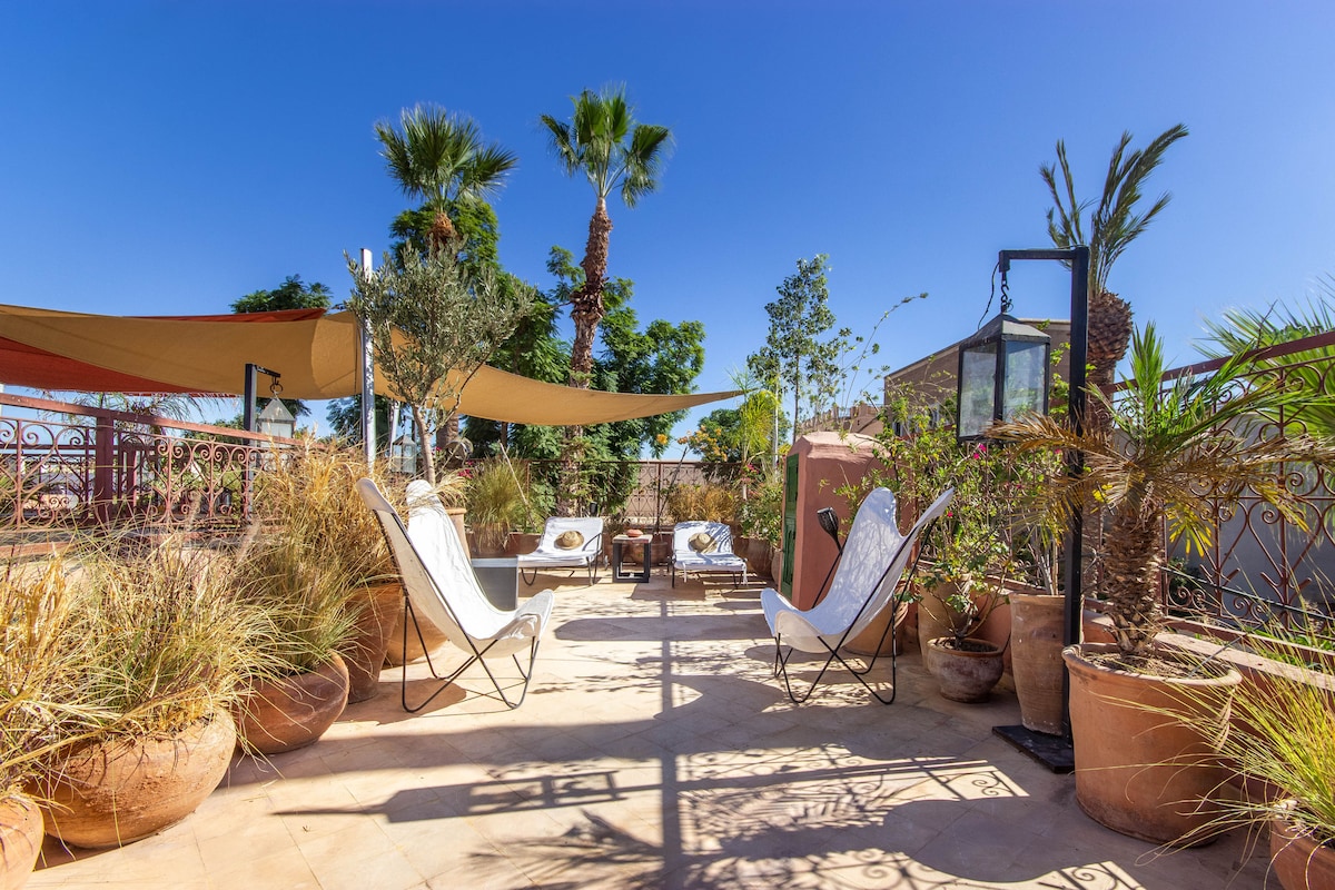 A spacious terrace is surrounded by lush greenery and potted plants. Two lounge chairs offer comfortable seating under the shade of a fabric canopy. Clear blue skies and palm trees create a serene environment ideal for relaxation.