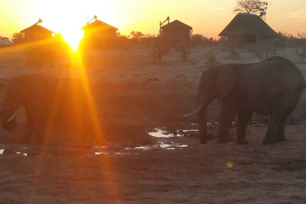 Sunrise in Africa