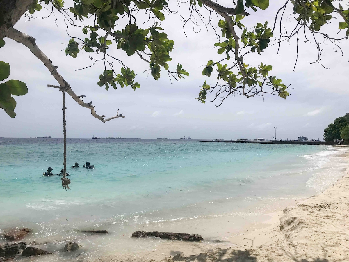 A serene beach scene is captured, featuring gentle waves lapping at the shore. In the distance, people are seen enjoying the water, while lush green foliage frames the foreground. The clear blue water transitions to lighter shades near the sandy beach.