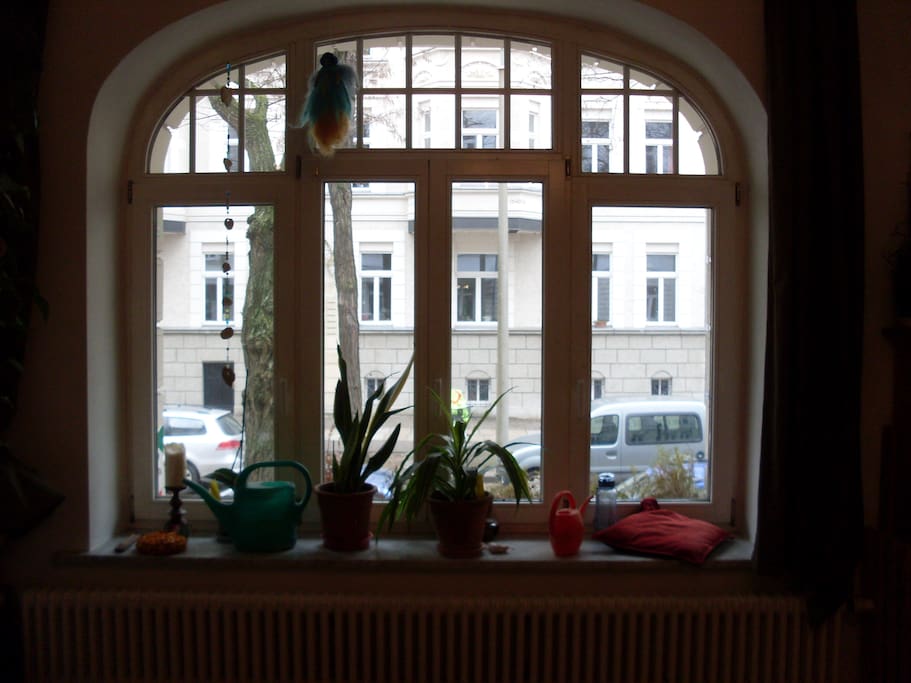 the big window in the room