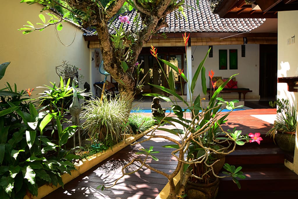 It has a small but tropical garden.