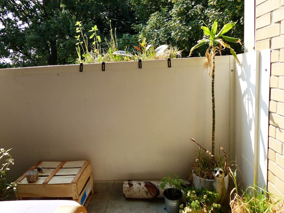 Im Sommer den ganzen Tag Sonne auf den Pelz scheinen lassen und nebenbei in Ruhe lesen/arbeiten können
