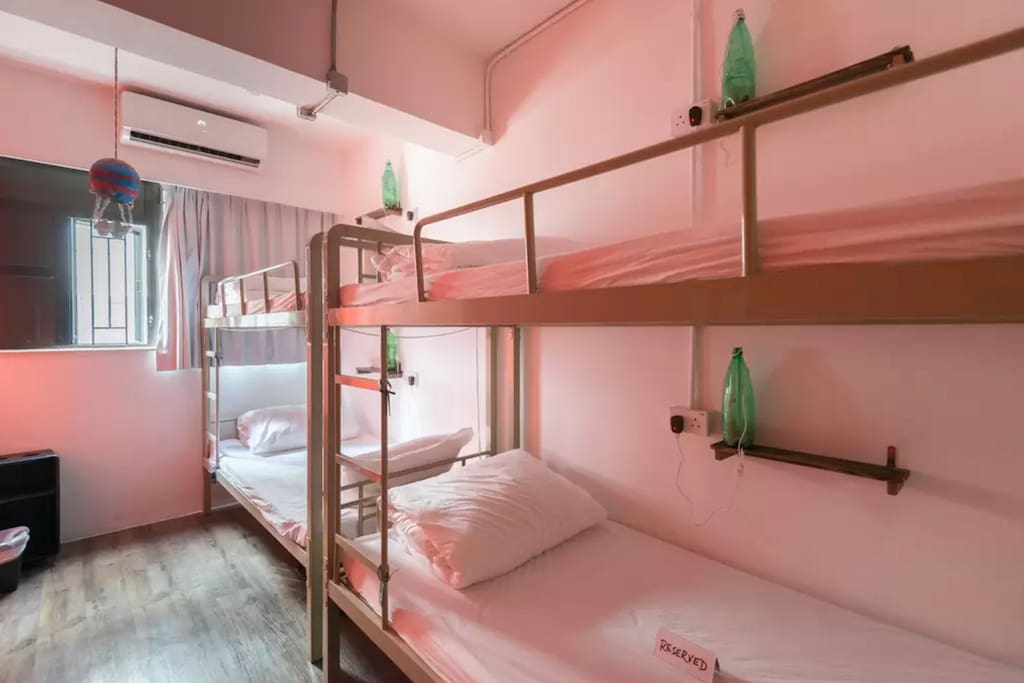 8 bed mixed dorm room