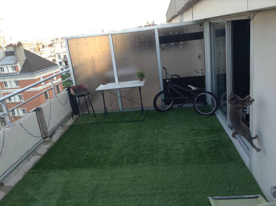 Terrasse 1 + intrus