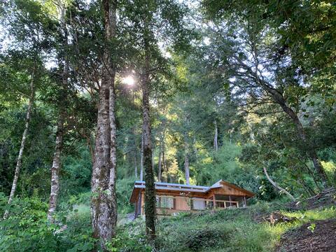 Forest lodge