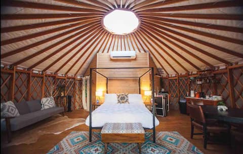 Yurt In The Trees, Dripping Springs Jewel!
