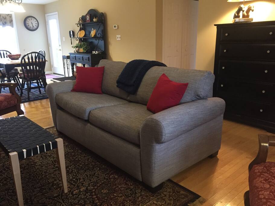 Memory foam queen size sleeper sofa.