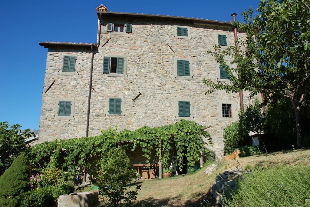 A lovingly restored home with terraced garden and ancient grapevine.