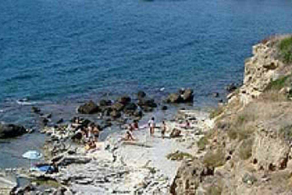 Scogli piatti(dietro casa)
