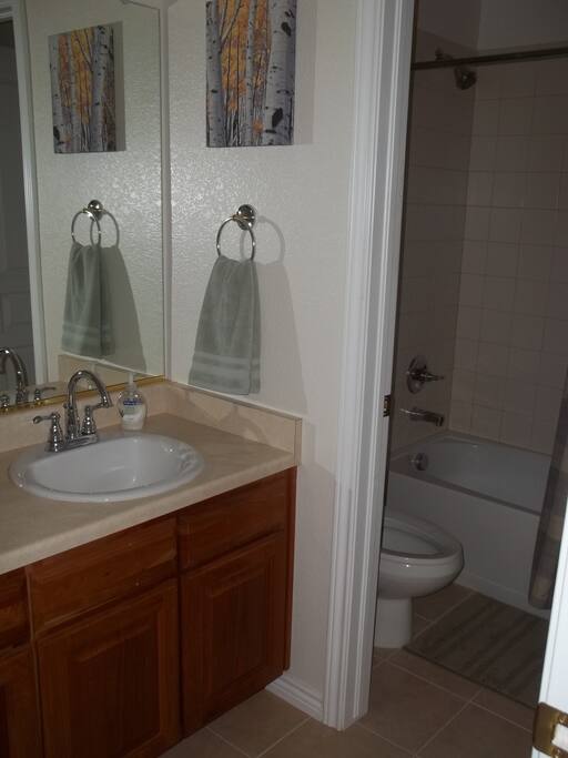 Shared well lighted full bathroom (shower and bath tub) with endless supply of hot water from a Rinnai tankless hot water heating system. Bluetooth Speaker System on exhaust fan.