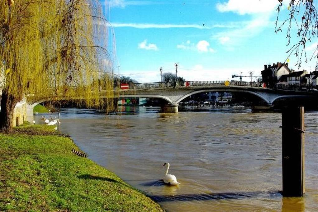 Les bords de Marne.
