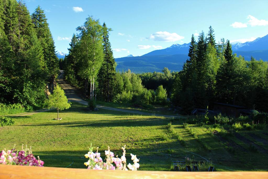 view from balcony