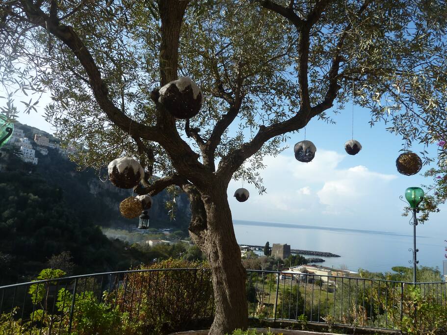 la bellezza del posto anche in pieno inverno